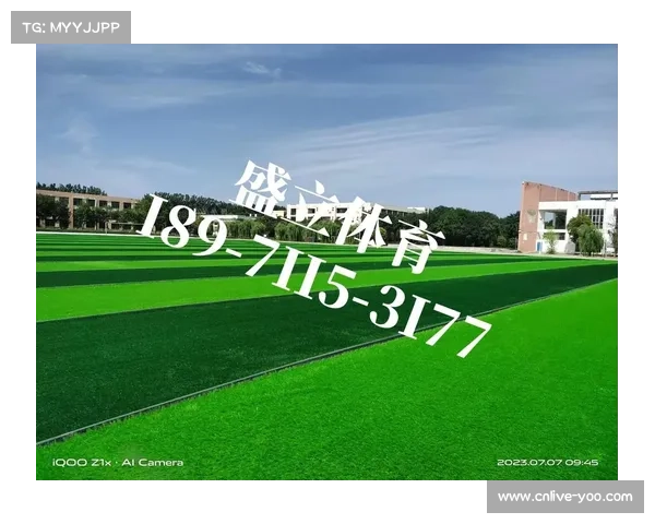 余杭场馆可拆卸草皮系统设计解析实现足球与橄榄球模式快速转换 余杭场馆可拆卸草皮系统设计解析实现足球与橄榄球模式快速转换